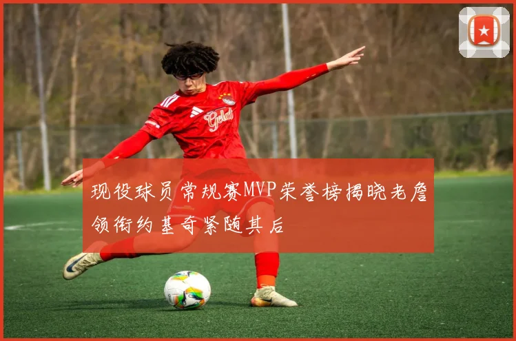 现役球员常规赛MVP荣誉榜揭晓老詹领衔约基奇紧随其后